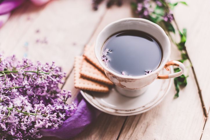 Ilustrasi kopi Kopi Chicory