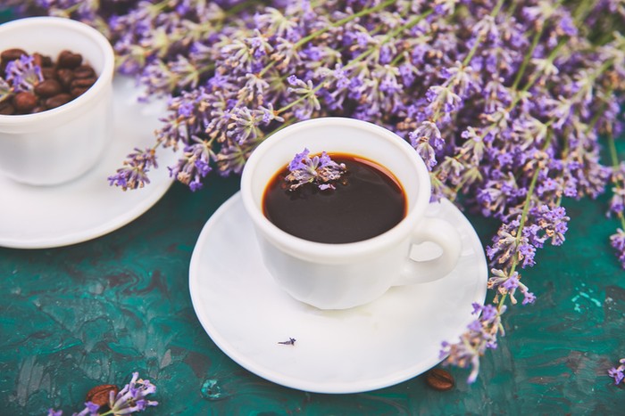 Ilustrasi kopi Kopi Chicory