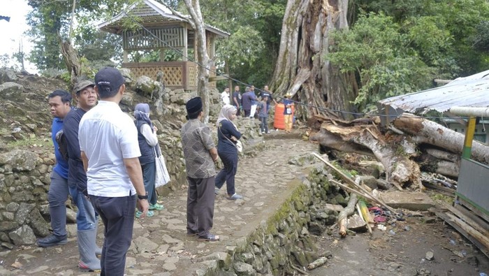 Pohon tumbang di Situs Petta Bulu Matanre, Soppeng, Sulsel menimpa sebuah pondok.