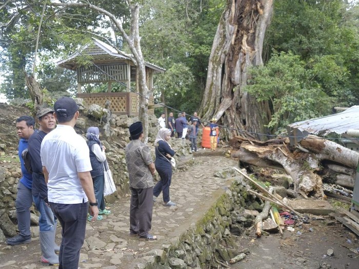 Pohon tumbang di Situs Petta Bulu Matanre, Soppeng, Sulsel menimpa sebuah pondok.