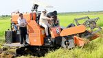 Potret Prabowo Turun ke Sawah hingga Jajal Traktor di Merauke