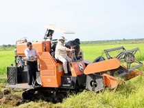 Potret Prabowo Turun ke Sawah hingga Jajal Traktor di Merauke