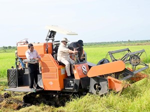 Alasan Ketahanan Pangan di Balik Kunker Perdana Prabowo ke Merauke