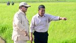 Potret Prabowo Turun ke Sawah hingga Jajal Traktor di Merauke