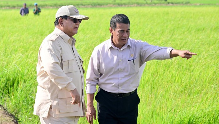 Presiden Prabowo Subianto berkunjung ke Desa Wanam, Kabupaten Merauke, Provinsi Papua Selatan, Minggu (3/11/2024).