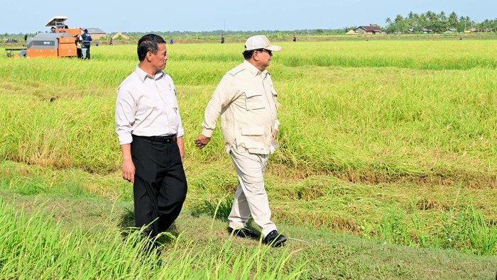 Presiden Prabowo Subianto berkunjung ke Desa Wanam, Kabupaten Merauke, Provinsi Papua Selatan, Minggu (3/11/2024).