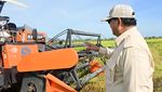 Potret Prabowo Turun ke Sawah hingga Jajal Traktor di Merauke
