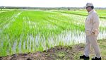 Potret Prabowo Turun ke Sawah hingga Jajal Traktor di Merauke