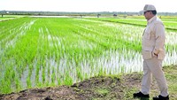 Infrastruktur tersebut akan memberikan akses bagi petani untuk mengangkut alat-alat pertanian dan hasil panen. Dengan kondisi lahan yang rata dan berawa, Merauke memiliki ketersediaan air melimpah yang sangat dibutuhkan oleh petani. 