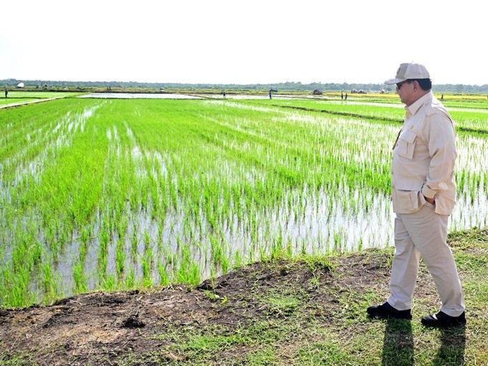Presiden Prabowo Subianto berkunjung ke Desa Wanam, Kabupaten Merauke, Provinsi Papua Selatan, Minggu (3/11/2024).
