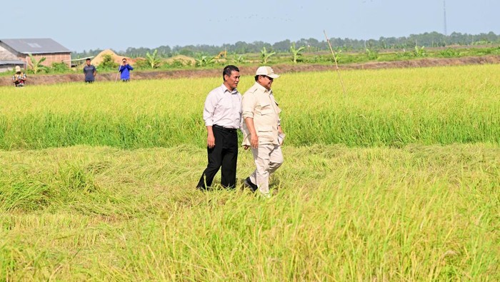 Presiden Prabowo Subianto berkunjung ke Desa Wanam, Kabupaten Merauke, Provinsi Papua Selatan, Minggu (3/11/2024).