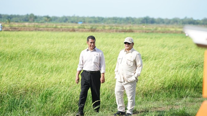 Presiden Prabowo Subianto mengunjungi sawah di Merauke untuk program Swasembada Pangan