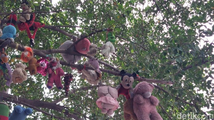 Boneka tergantung di pohon di Kota Cirebon. Boneka tergantung di pohon di Kota Cirebon.