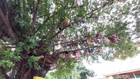 Di balik semua spekulasi ini, pohon beringin di Jalan Parujakan kini menjadi ikon dadakan di Kota Cirebon. Tak hanya warga lokal, pengunjung dari luar kota yang kebetulan melewati jalan ini pun penasaran dan menyempatkan diri untuk melihat pohon yang kini disebut sebagai Pohon Boneka.