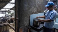 Selain pupuk organik, kotoran sapi itu juga diolah menjadi biogas.