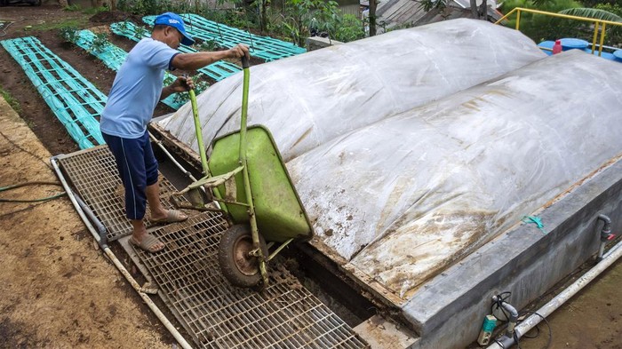 Kotoran Sapi Disulap Jadi Biogas & Pupuk Organik Peternak memeriksa tabung biodigester di peternakan sapi Babakan Ampera, Lembang, Kabupaten Bandung Barat, Jawa Barat, Senin (4/11/2024). Peternakan tersebut dalam seharinya mampu mengolah 250 kilogram kotoran hewan (kohe) menggunakan teknologi biodigester untuk dijadikan biogas yang digunakan sebagai pengganti alternatif gas elpiji dan pupuk organik untuk membantu petani lokal. ANTARA FOTO/Abdan Syakura/agr/rwa.