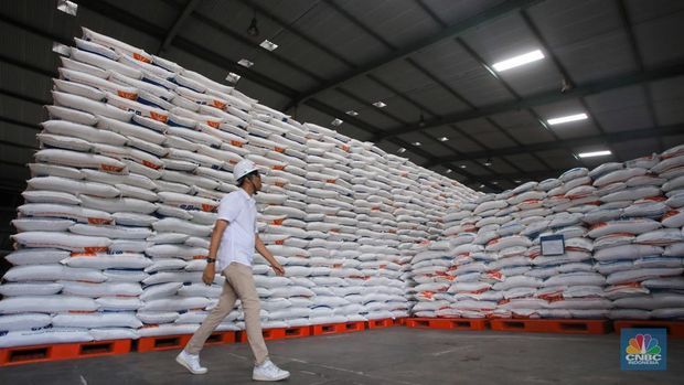 Pekerja memeriksa cadangan beras pemerintah (CBP) di Gudang Bulog, Kelapa Gading, Jakarta Utara, Senin (4/11/2024). (CNBC Indonesia/Faisal Rahman)