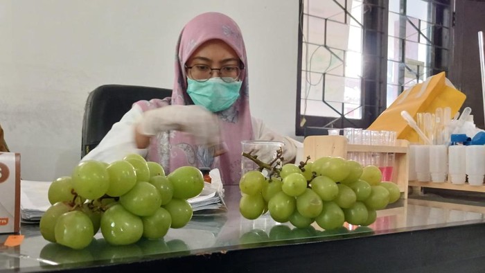Pemkot Pasuruan