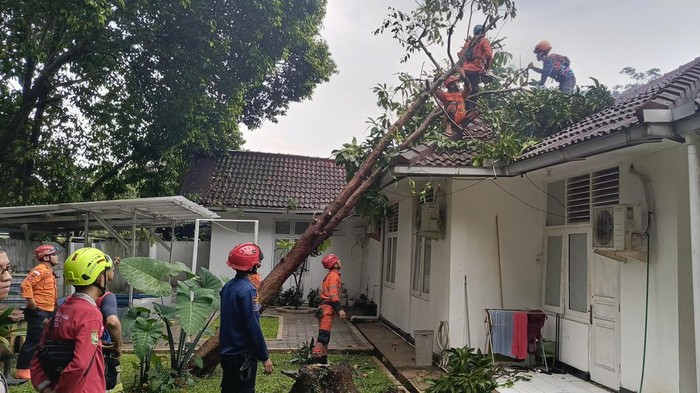 Pohon tumbang timpa rumah dinas Kapolresta Bogor