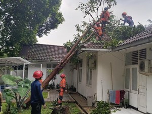 Hujan dan Angin Kencang, Pohon Tumbang Timpa Rumah Dinas Kapolresta Bogor