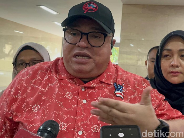 Razman Arif Nasution (Rumondang Naibaho/detikcom)