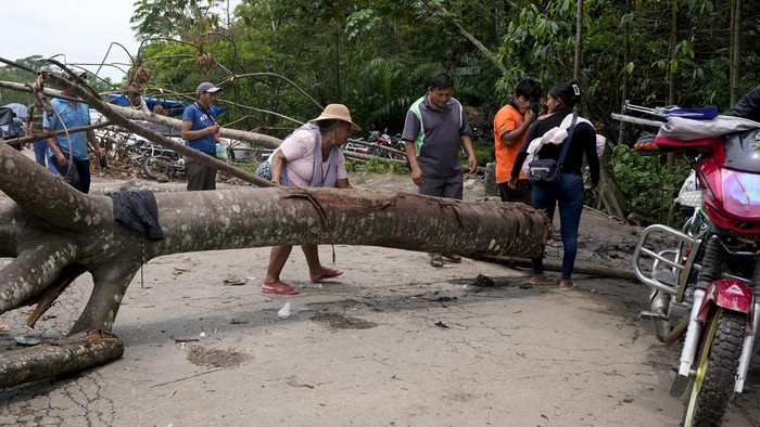 Pendukung mantan Presiden Bolivia Morales memblokir jalan dengan pepohonan. Sebelumnya para pendukung memblokir jalan dengan batu.
