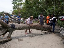 Protes Pemerintah Bolivia, Pendukung Eks Presiden Morales Blokir Jalan