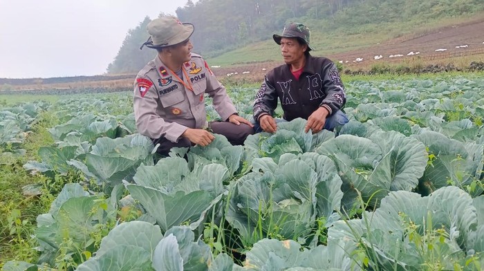 Wakapolsek Pajukukang, Ipda Purwanto wujudkan swasembada pangan lawat Kampung Sayur Organik di Kabupaten Bantaeng.