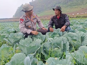 Misi Ipda Purwanto Wujudkan Swasembada Pangan Lewat Kampung Sayur Organik