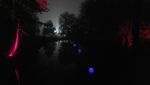 Warna-warni Instalasi Lampu di Hutan Belgia