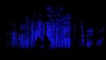Warna-warni Instalasi Lampu di Hutan Belgia