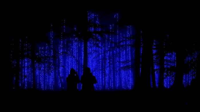 Hutan Taman Rivierenhof di Deurne, Belgia, dihiasi instalasi lampu. Ini foto-fotonya.