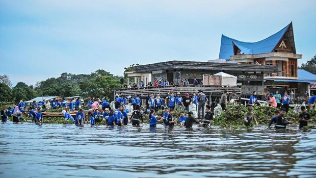 AQUA Bersihkan 12 Ton Eceng Gondok Danau Toba