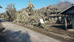 Dampak Erupsi Gunung Lewotobi Laki-Laki