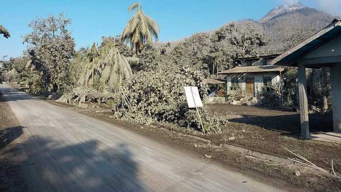 Asap vulkanik Gunung Lewotobi Laki-Laki Gunung Lewotobi Laki-Laki mengeluarkan asap vulkanik terlihat dari Kecamatan Ile Bura, Kabupaten Flores Timur, Nusa Tenggara Timur, Senin (4/11/2024). Badan Pencarian dan Pertolongan atau Basarnas yang berbasis di Kabupaten Maumere menyatakan data korban meninggal dunia akibat erupsi Gunung Lewotobi Laki-Laki per Senin 4 November 2024 pukul 11.51 Wita berjumlah 10 orang. ANTARA FOTO/Pemulet Paul/sgd/tom.