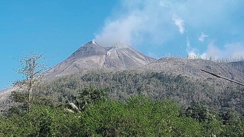 Gunung Lewotobi Laki-Laki mengeluarkan asap vulkanik terlihat dari Kecamatan Ile Bura, Kabupaten Flores Timur, Nusa Tenggara Timur, Senin (4/11/2024). Badan Pencarian dan Pertolongan atau Basarnas yang berbasis di Kabupaten Maumere menyatakan data korban meninggal dunia akibat erupsi Gunung Lewotobi Laki-Laki  per Senin 4 November 2024 pukul 11.51 Wita berjumlah 10 orang. ANTARA FOTO/Pemulet Paul/sgd/tom.