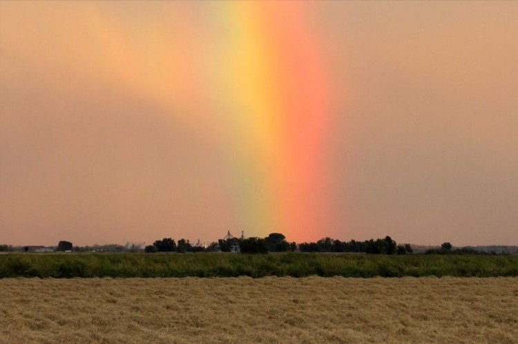 Pernahkah kalian melihat awan yang menuangkan hujan, tetapi hujan tersebut tidak pernah sampai ke tanah? Ahli meteorologi menyebut hujan ini dengan nama virga.