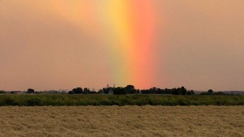 Ini salah satu penampakan virga yang cukup rumit karena disertai pelangi. Hazel Holby di Willows, California, AS mengabadikannya pada 29 September 2021. Foto: Hazel Holby via Earth Sky
