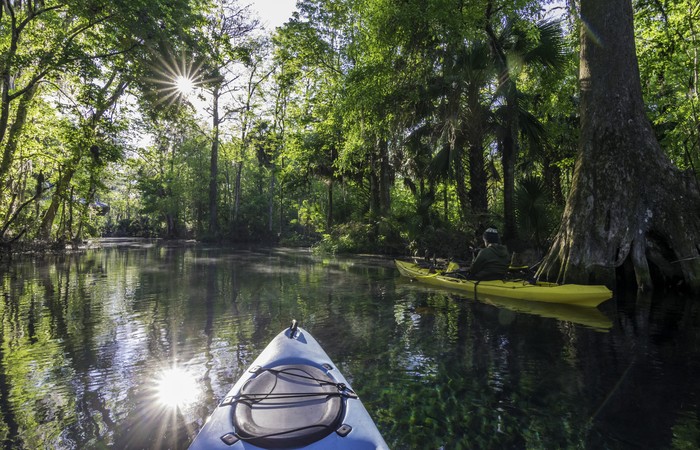 A kayaker in morning light on the Silver River at Silver Springs State Park.