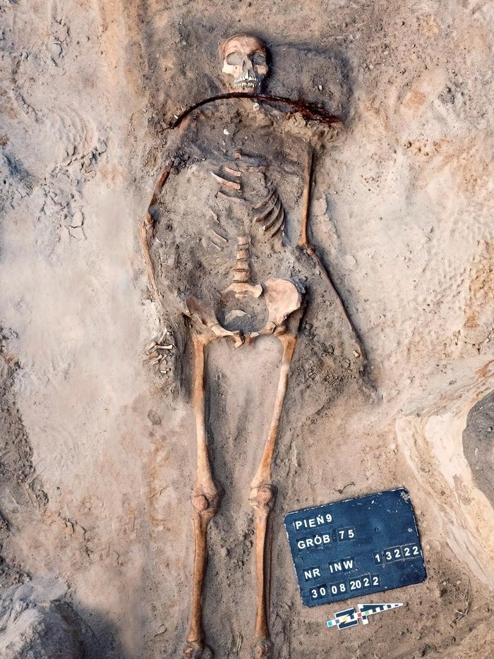 Kala Ilmuwan Coba Bangkitkan ‘Vampir’ Berusia 400 Tahun dari Kematian The skeleton of Zosia, a woman buried as a vampire, lies in a grave in Pien, Poland, August 2022. Nicolaus Copernicus University, Torun/Handout via REUTERS THIS IMAGE HAS BEEN SUPPLIED BY A THIRD PARTY NO RESALES. NO ARCHIVES. MANDATORY CREDIT.