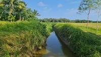 Pekerjaan rehabilitasi DI Cibaliung di bawah tanggung jawab Balai Besar Wilayah Sungai (BBWS) Cidanau Ciujung Cidurian, Ditjen SDA Kementerian PU dengan kontraktor pelaksana Hansol-Waskita, Joint Venture. Biaya pekerjaan bersumber dari Pinjaman EDCF senilai Rp 233,8 miliar dengan masa pekerjaan 730 hari kalender dan ditargetkan selesai Oktober 2026. 
