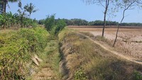 Besaran anggaran tersebut digunakan untuk peremajaan Bendung Cibaliung, penanganan saluran primer sepanjang 24,43 km, dan saluran sekunder sepanjang 13,83 km pada DI Cibaliung kanan, serta saluran primer DI Cibaliung kiri sepanjang 7,31 km. 