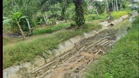 Di samping itu, program rehabilitasi DI Cibaliung diperkirakan berdampak pada peningkatan produktivitas pertanian di Kabupaten Pandeglang dengan Indeks Pertanaman meningkat dari 113% menjadi 190%.