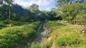Kementerian PU Rehabilitasi Daerah Irigasi Cibaliung Rp 233,8 M