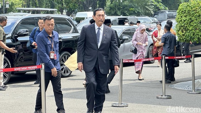 Ketua Dewan Ekonomi Nasional Luhut Binsar Pandjaitan (Isal/detikcom)