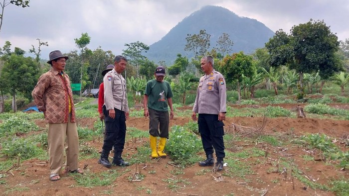 Lahan tidur di Kota Batu akan ditanami untuk program nasional