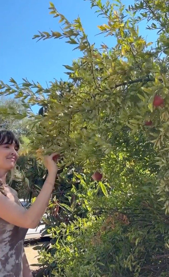 Sehari-harinya La Rue bercocok tanam untuk dimasaknya sendiri. Dia sebisa mungkin hidup seimbang dengan mengambil apapun dari alam sebanyak yang dia bisa. Foto: Dok. Instagram Ride Or Dye