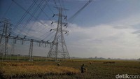 Terdapat tiga upaya yang dilakukan dalam peningkatan produksi beras, di antaranya pompanisasi air sungai untuk lahan sawah, optimalisasi lahan rawa dan integrasi padi gogo dengan kelapa sawit pada tanaman belum menghasilkan.