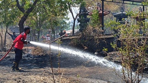 Petugas Damkartan Karangasem melakukan penanganan kebakaran lahan dekat Pura Dalem Kayu Aya di Desa Sukadana, Kecamatan Kubu, Selasa (05/11/2024). (Dok. Damkartan Karangasem)
