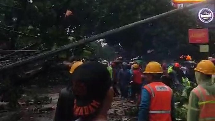 Pohon tumbang di Sukabumi